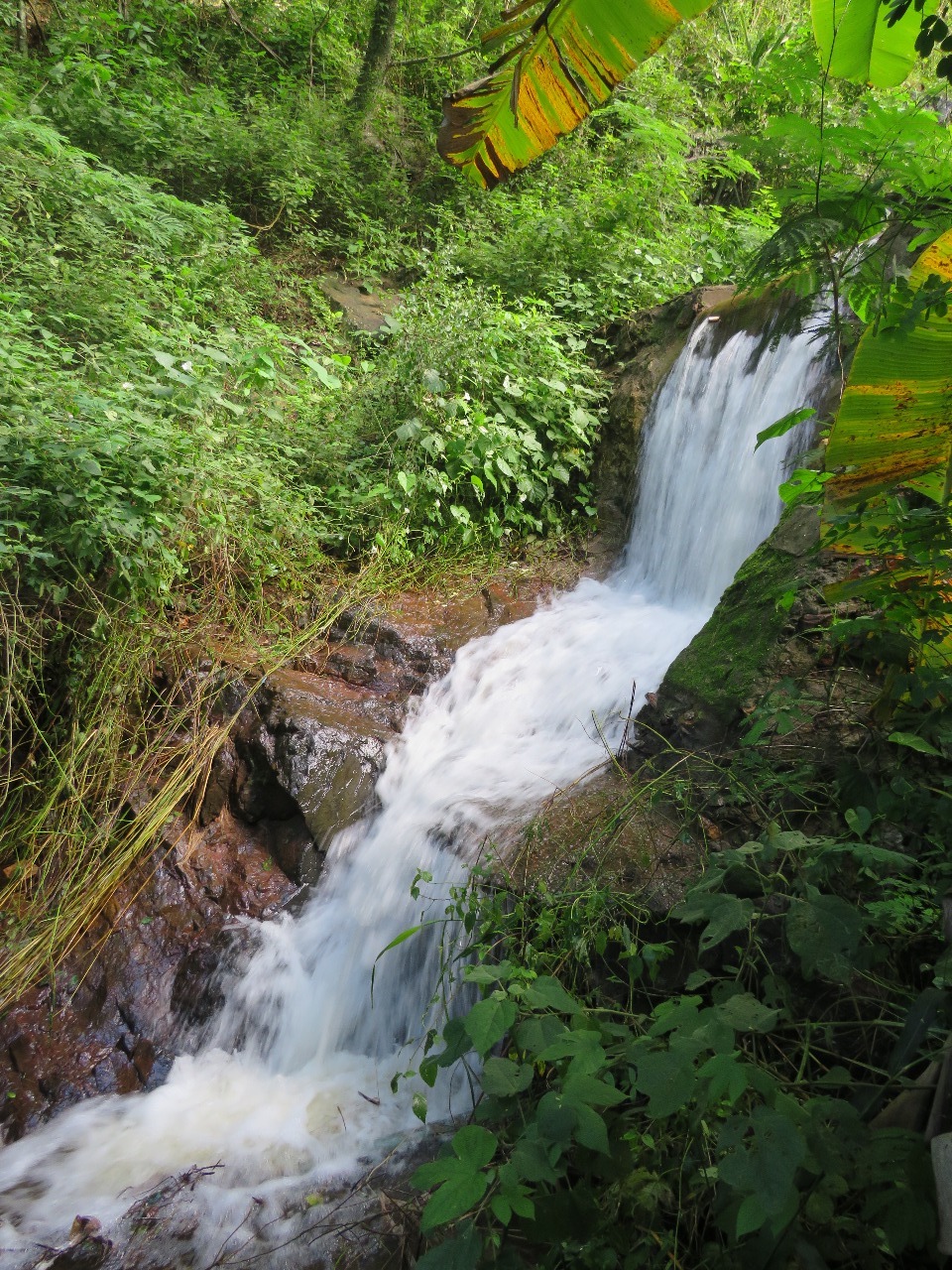 Cachoeira de Catuni (BONFIM, 2020)